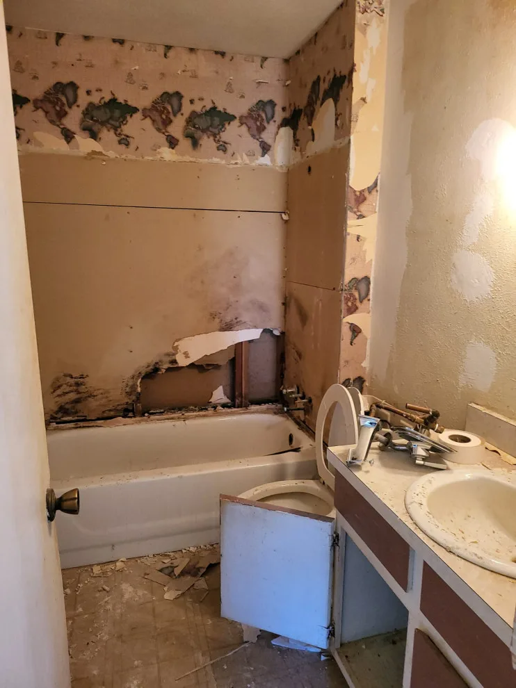 Timberview Complete Home Makeover by Tiger Painting & Remodeling LLC - Photo 20