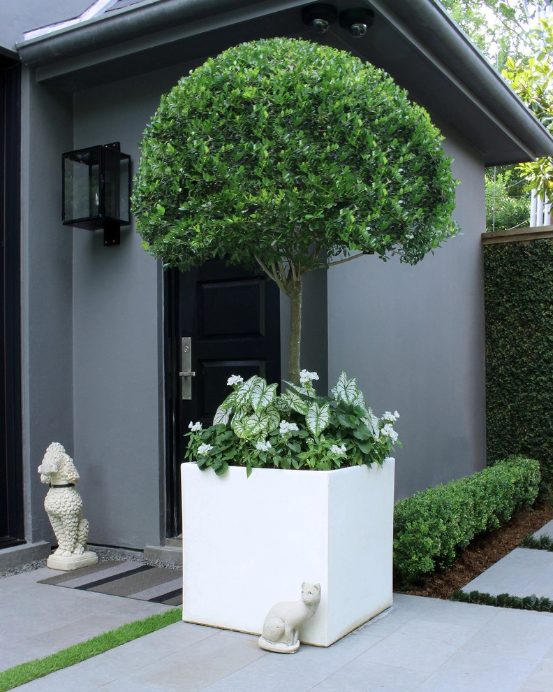 Contemporary Manor – Tanglewood, Houston by Moss Landscaping - Photo 4