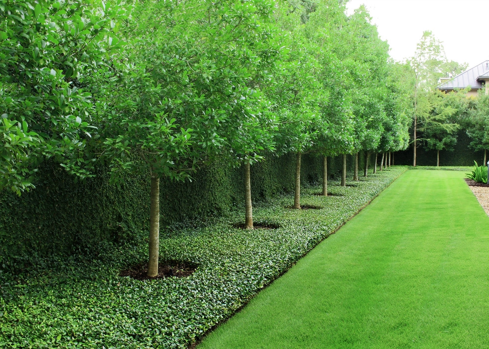 Longwood Gardens - Memorial, Houston by Moss Landscaping - Photo 5