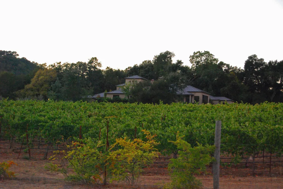 Vineyard Lifestyle by Gibson Construction Company - Photo 9