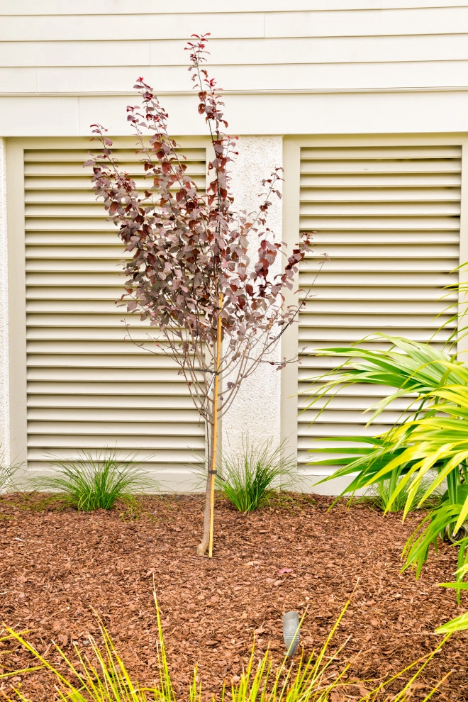 Parkers Landing by MP Landscape Design - Photo 12