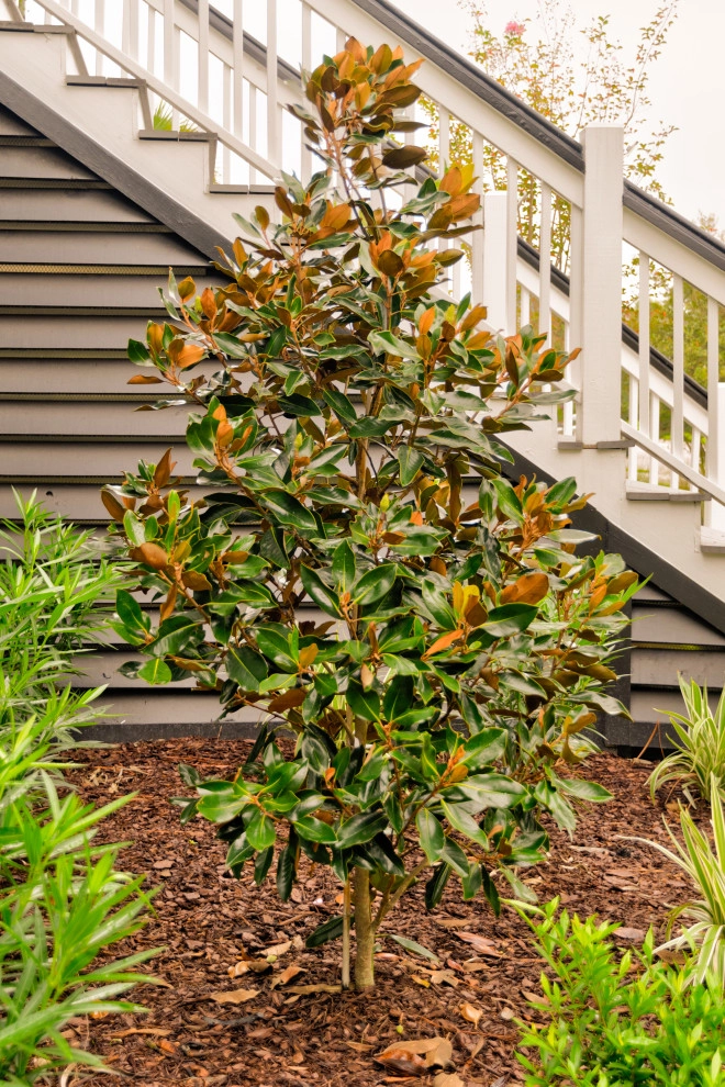 Klin Street by MP Landscape Design - Photo 16