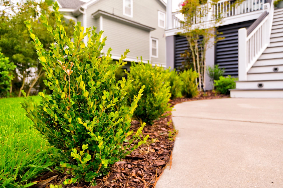 Klin Street by MP Landscape Design - Photo 4