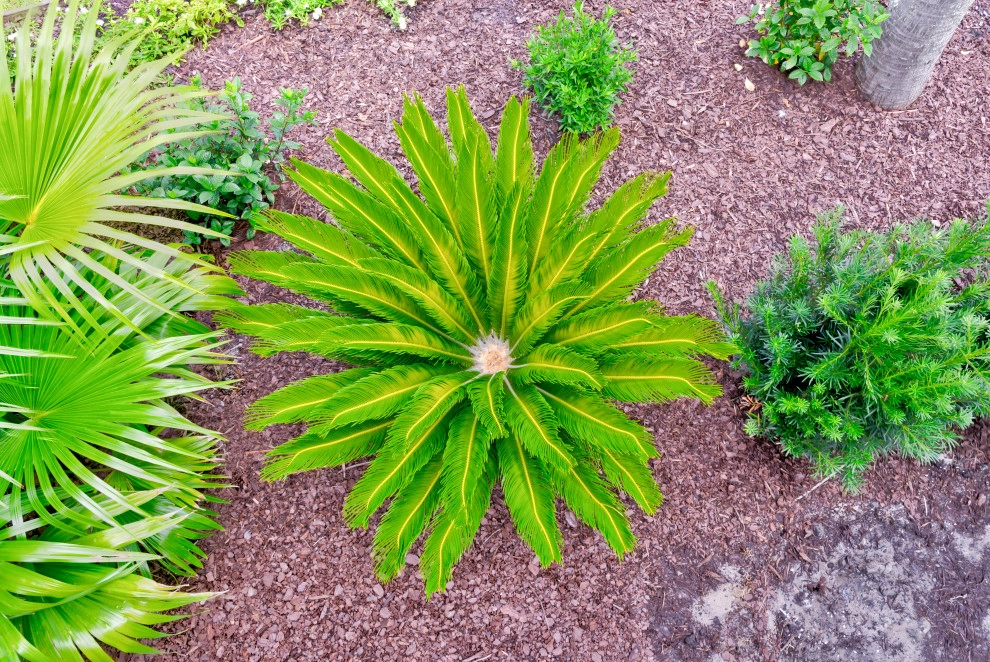 Parkers Landing by MP Landscape Design - Photo 9