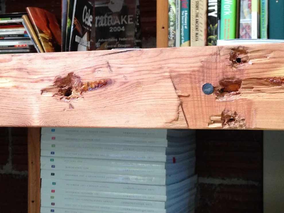 Century-Old Reclaimed Timber Bookcase for Downtown Bend by Ron Brown - The Finisher - Photo 9