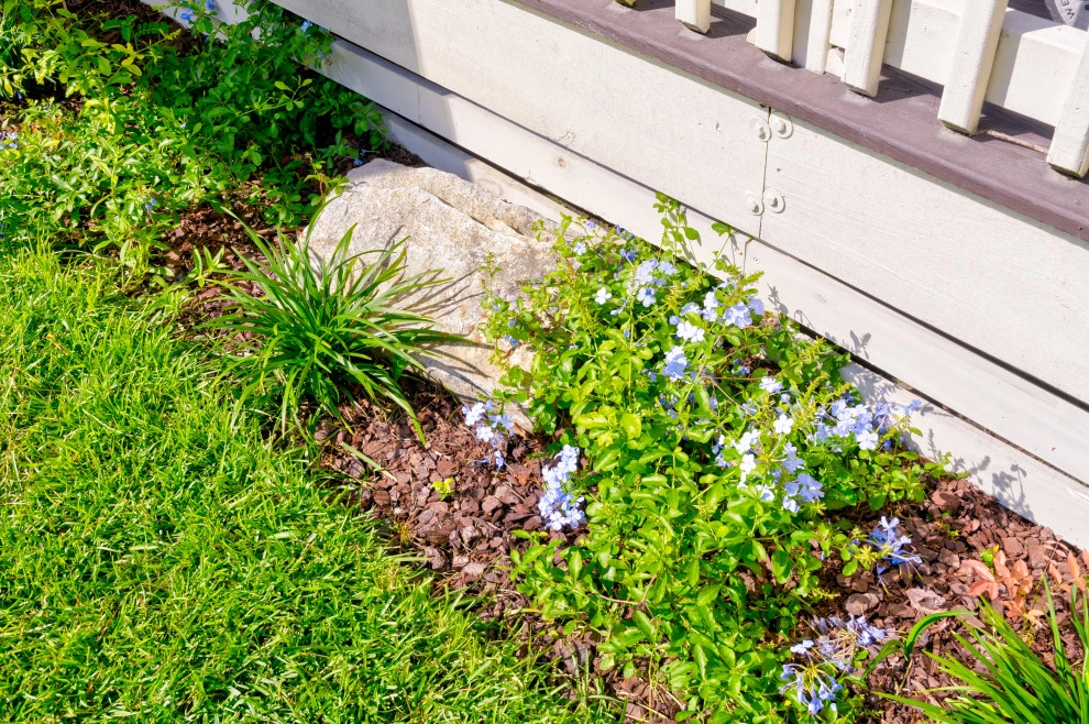Darlington by MP Landscape Design - Photo 11