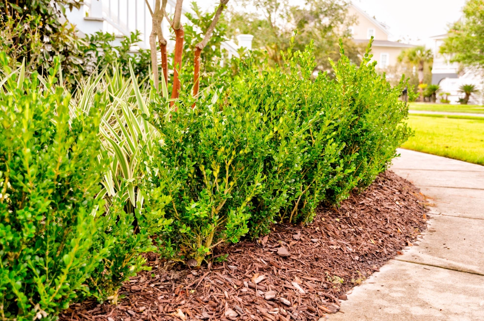 Red Drum by MP Landscape Design - Photo 8