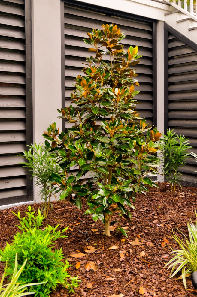 Klin Street by MP Landscape Design - Photo 25
