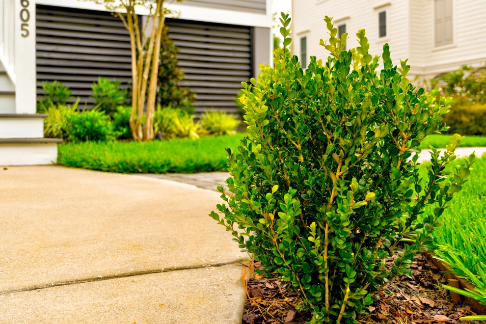 Klin Street by MP Landscape Design - Photo 7