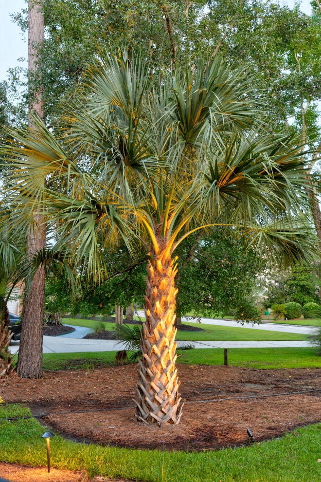 Darts Cove by MP Landscape Design - Photo 9