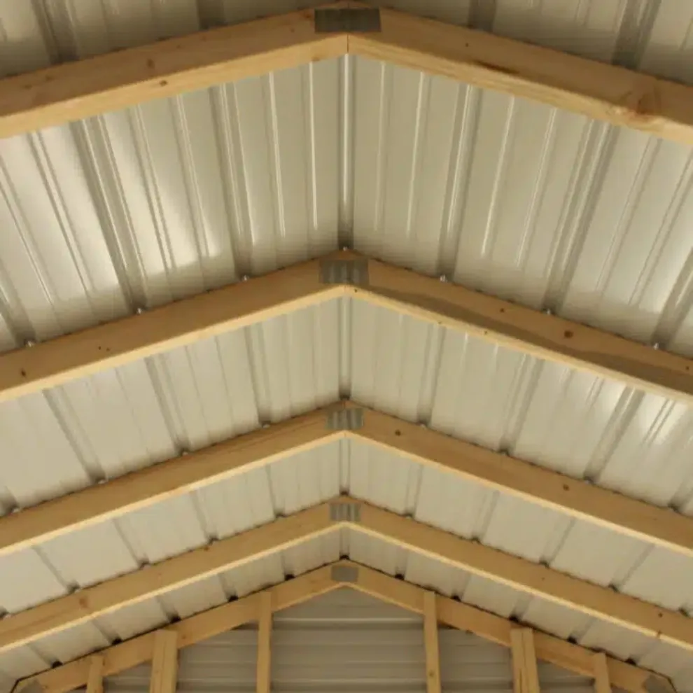 Ten by Twelve Value Shed by Bald Eagle Barns, LLC - Photo 3