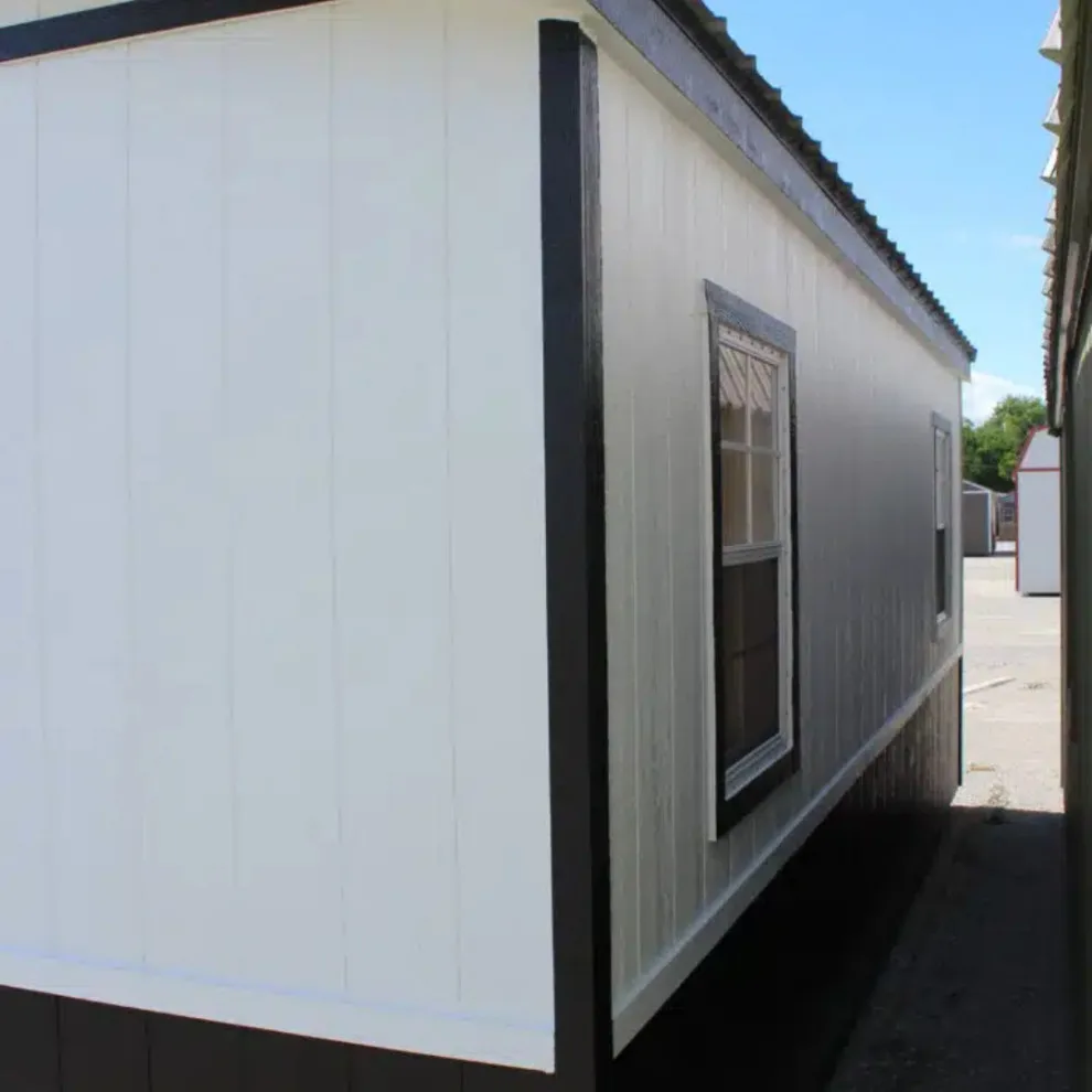 20x10 Premium Studio Shed by Bald Eagle Barns, LLC - Photo 3