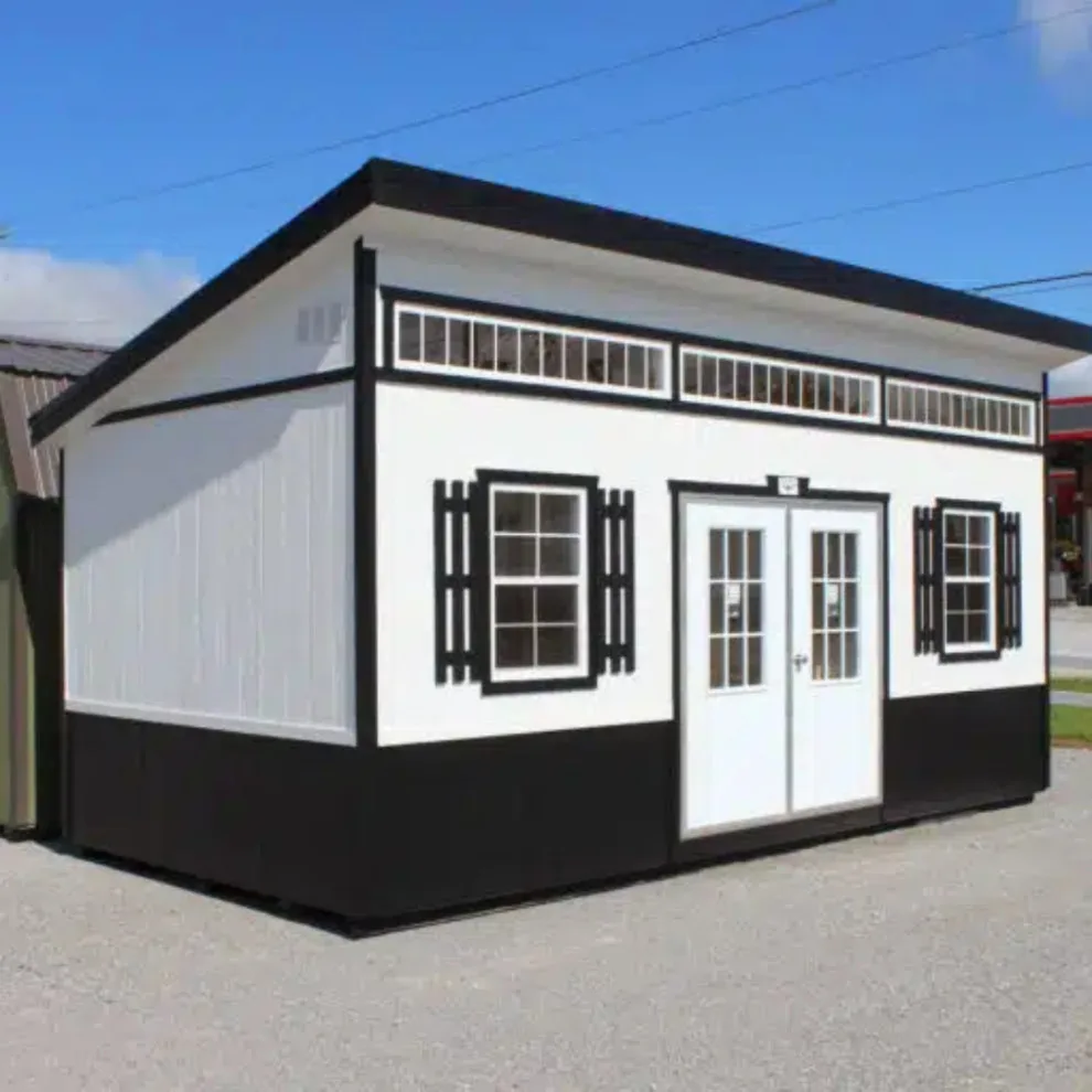 20x10 Premium Studio Shed by Bald Eagle Barns, LLC - Photo 2