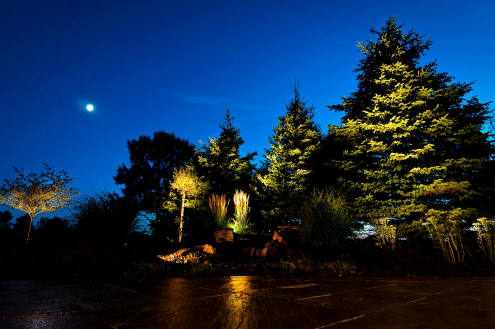 Arnold Palmer Night Lighting by MT Carpenter Landscape Inc. - Photo 2
