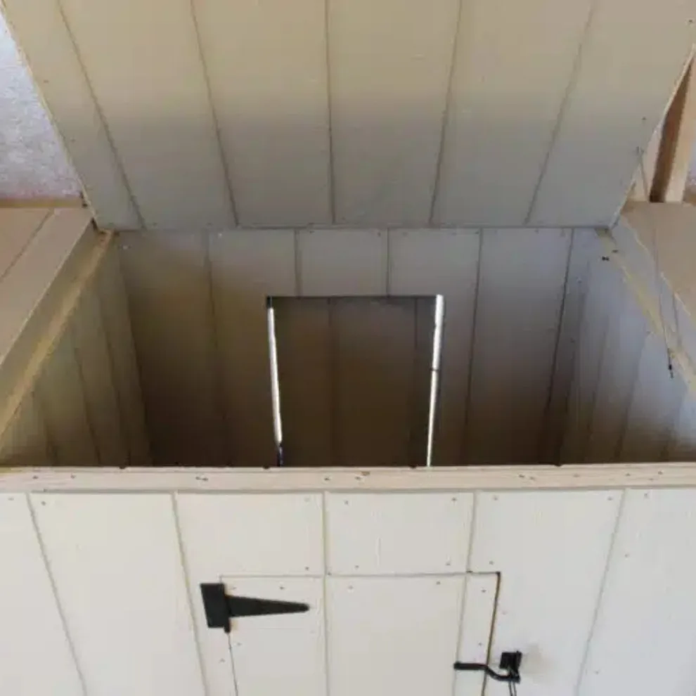 12x24 Canine Shelter by Bald Eagle Barns, LLC - Photo 4