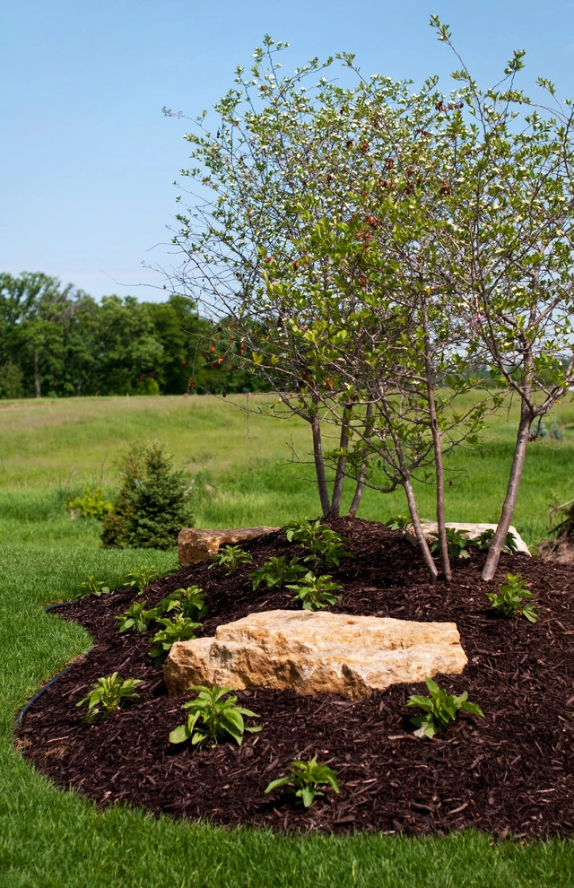 Artisan Homes by MT Carpenter Landscape Inc. - Photo 10