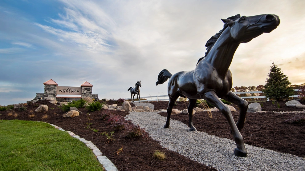 Wagamon Ranch by MT Carpenter Landscape Inc. - Photo 5