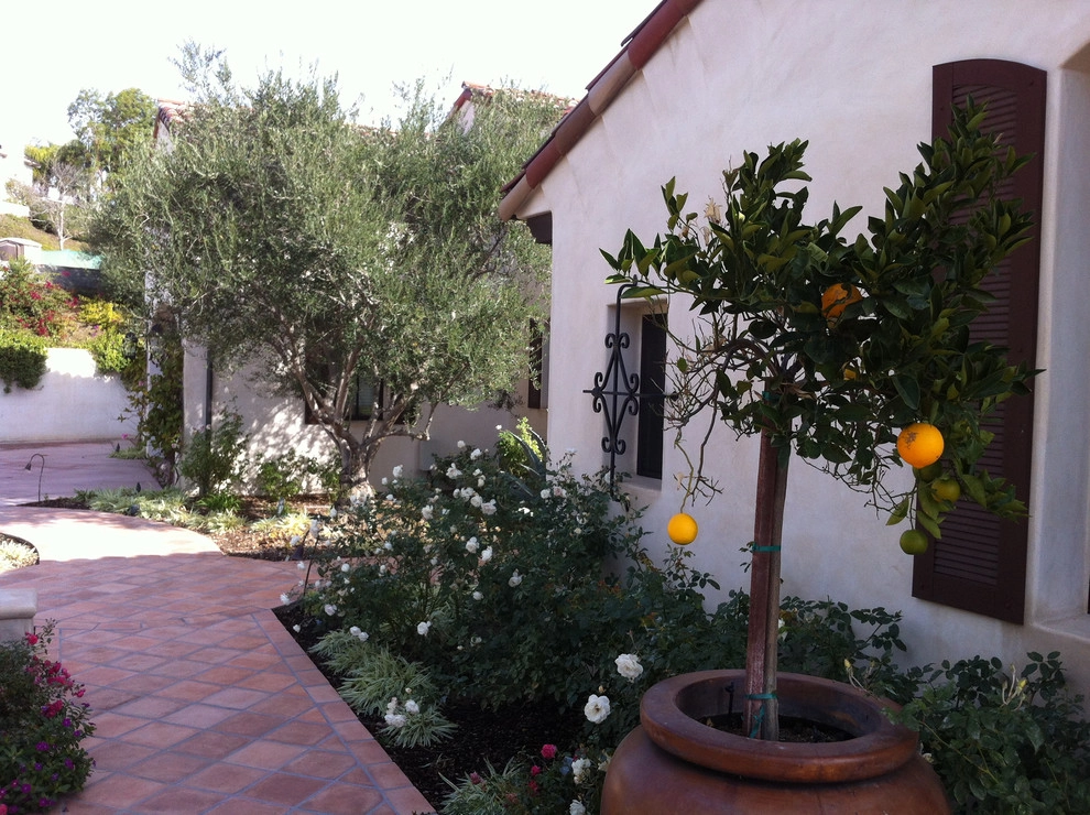 Spanish Revival Garden Theme, Yorba Linda by My Garden: Landscape Design By Wayne - Photo 2