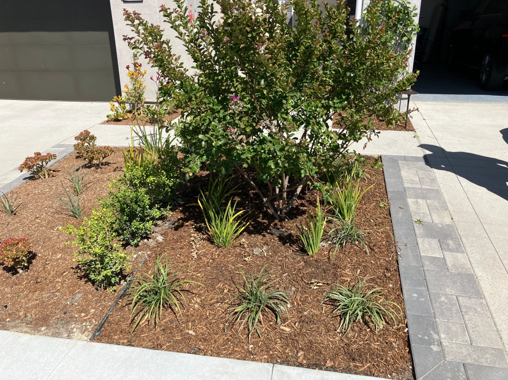 Farmhouse Eclectic - New Home by My Garden: Landscape Design By Wayne - Photo 14