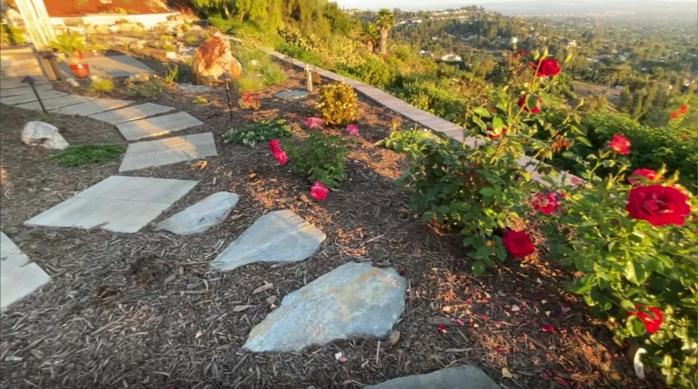 Xeriscape & Native Garden with Waterfall by My Garden: Landscape Design By Wayne - Photo 11