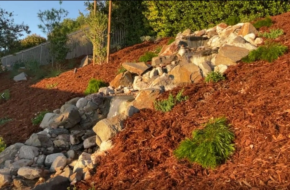 Xeriscape & Native Garden with Waterfall by My Garden: Landscape Design By Wayne - Photo 15