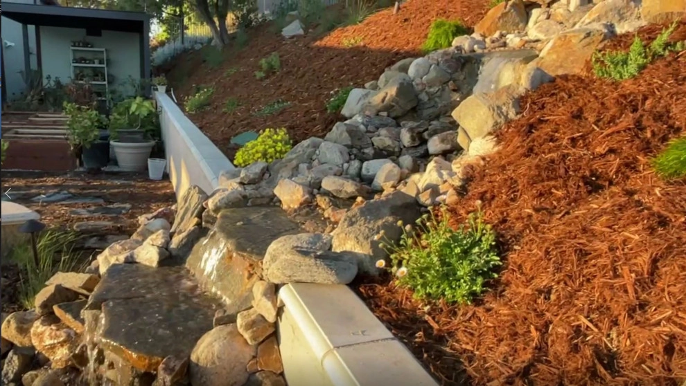 Xeriscape & Native Garden with Waterfall by My Garden: Landscape Design By Wayne - Photo 39
