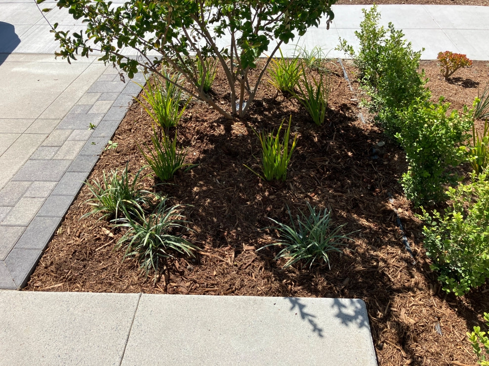 Farmhouse Eclectic - New Home by My Garden: Landscape Design By Wayne - Photo 13
