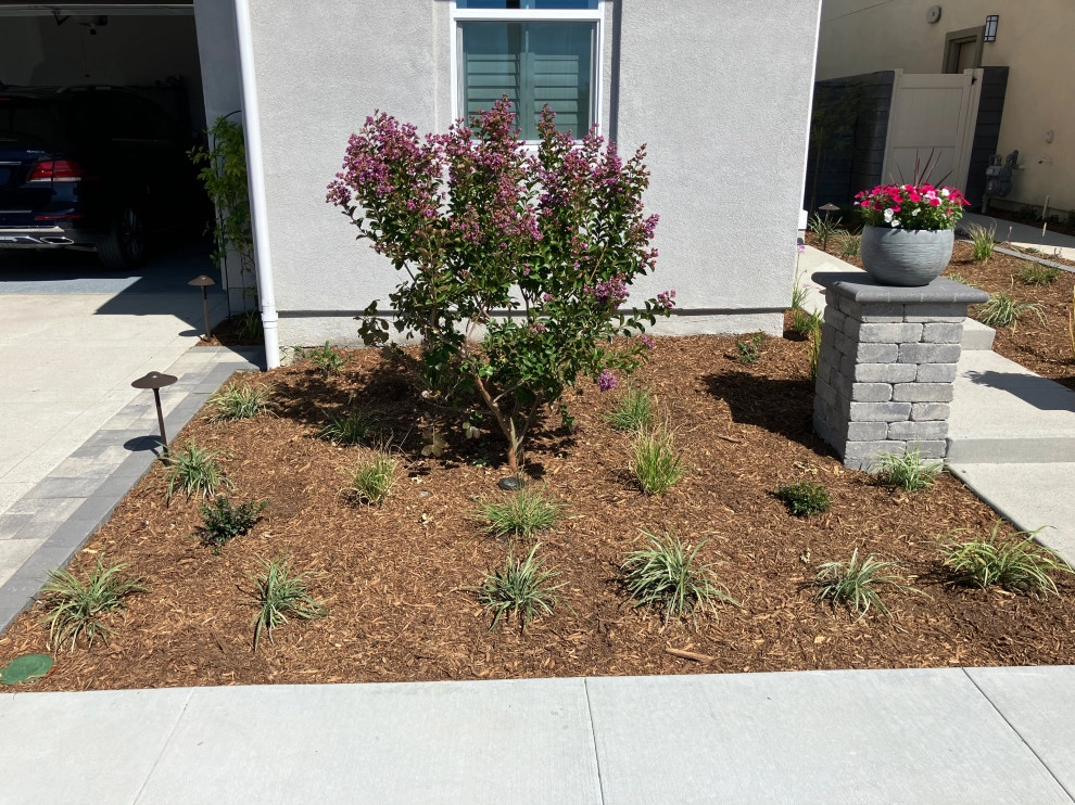 Farmhouse Eclectic - New Home by My Garden: Landscape Design By Wayne - Photo 7