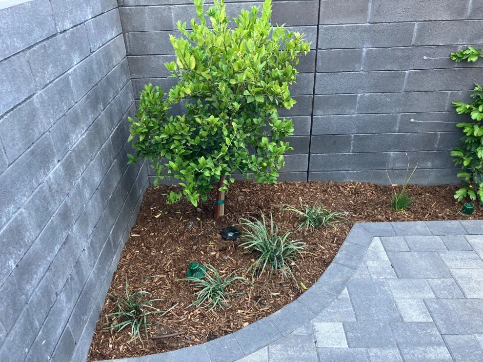 Farmhouse Eclectic - New Home by My Garden: Landscape Design By Wayne - Photo 11