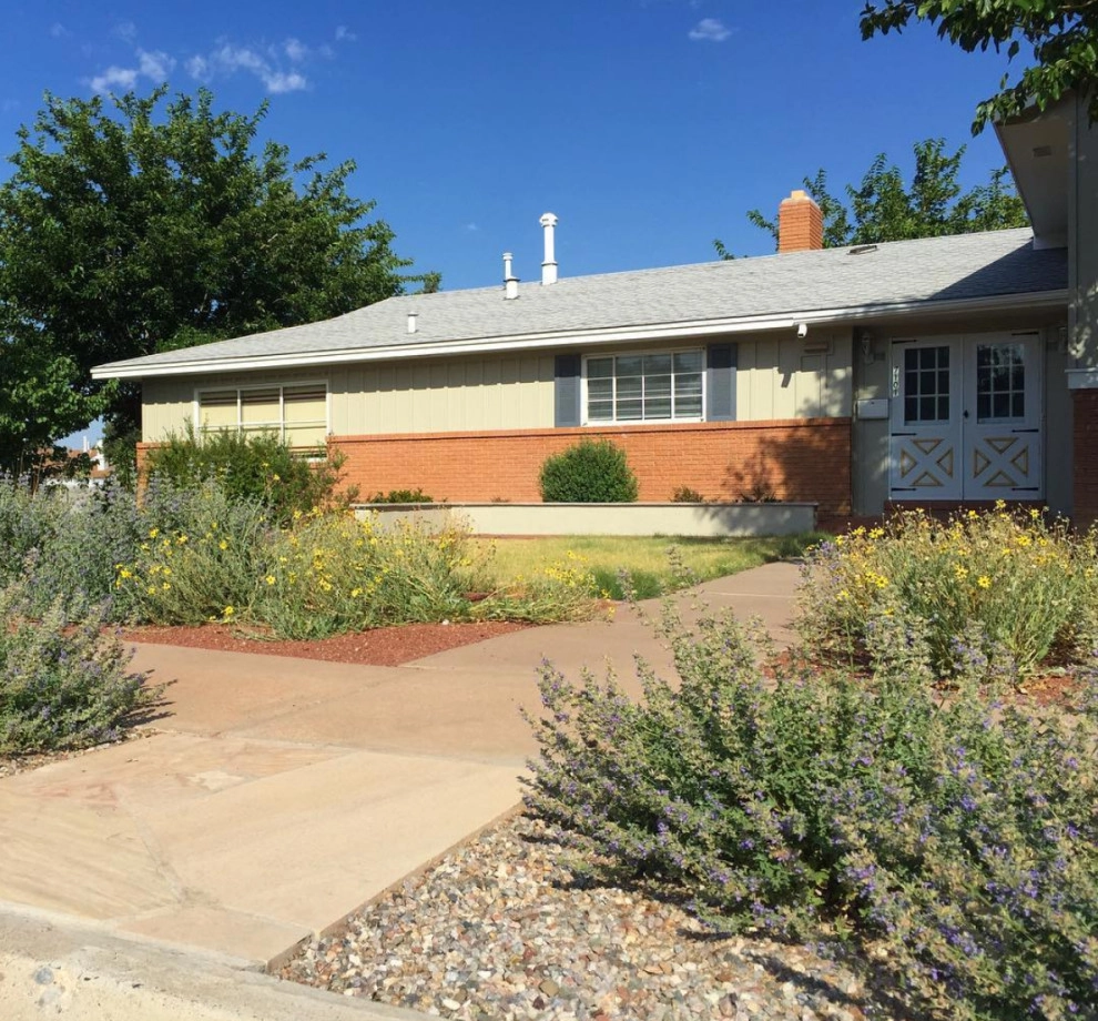 My Landscape Coach (formerly Brown, Green & More) - Photo 14