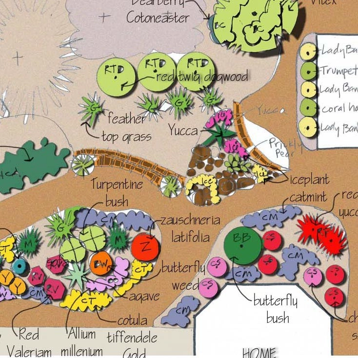 LANDSCAPE COACH by My Landscape Coach (formerly Brown, Green & More) - Photo 5
