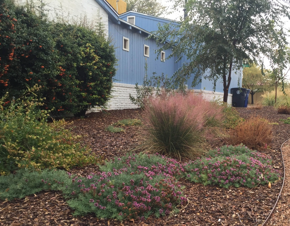 Landscape Designs from around Albuquerque by My Landscape Coach (formerly Brown, Green & More) - Photo 15