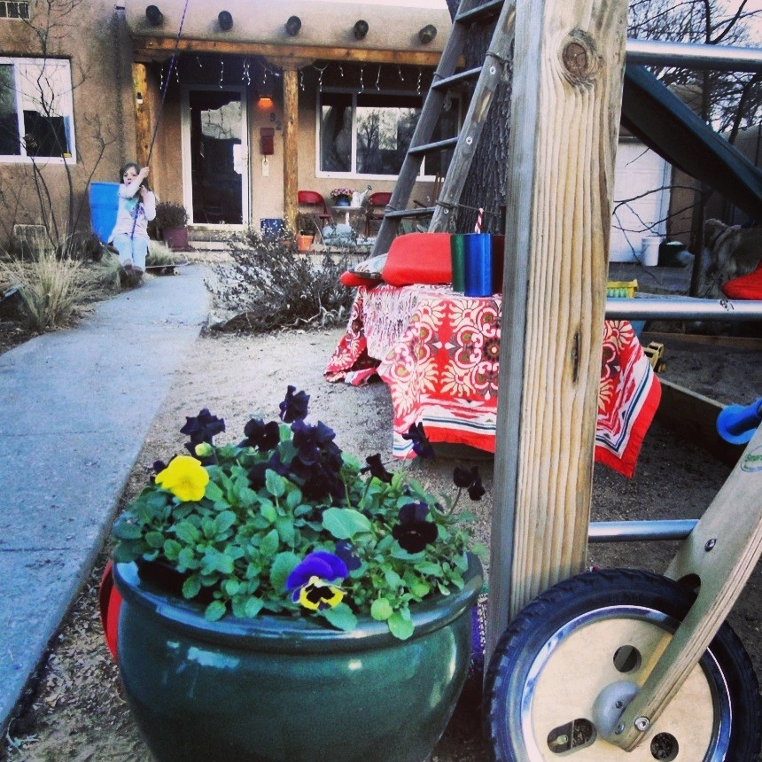 Brown Residence by My Landscape Coach (formerly Brown, Green & More) - Photo 6