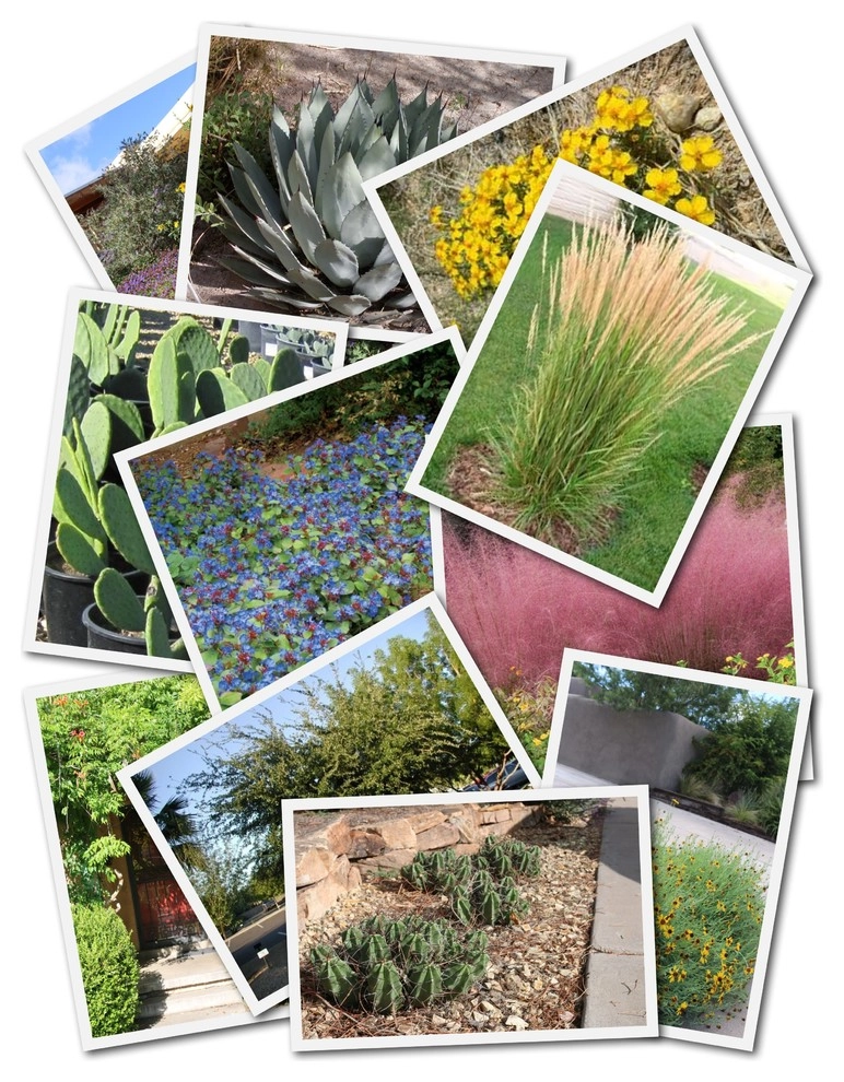 Under Construction by My Landscape Coach (formerly Brown, Green & More) - Photo 20