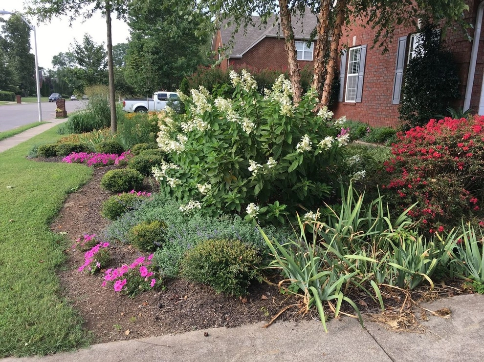 Beautiful Custom Landscape by My Landscape Guide - Photo 3