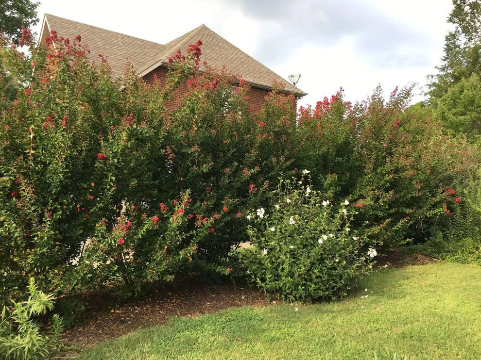 Beautiful Custom Landscape by My Landscape Guide - Photo 11