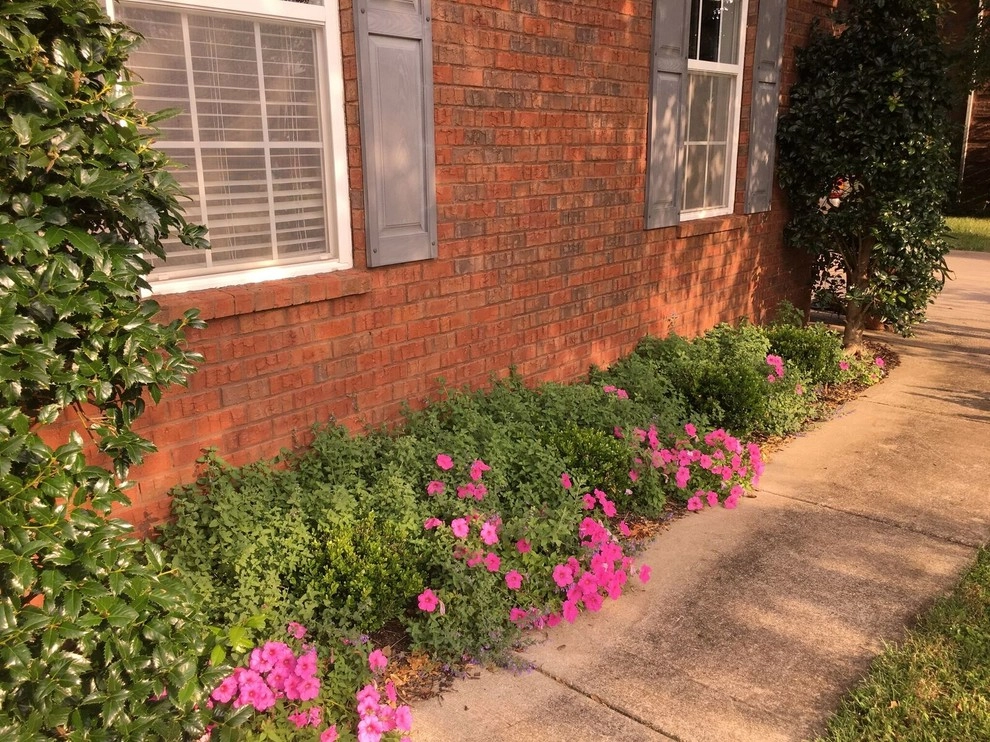 Beautiful Custom Landscape by My Landscape Guide - Photo 14