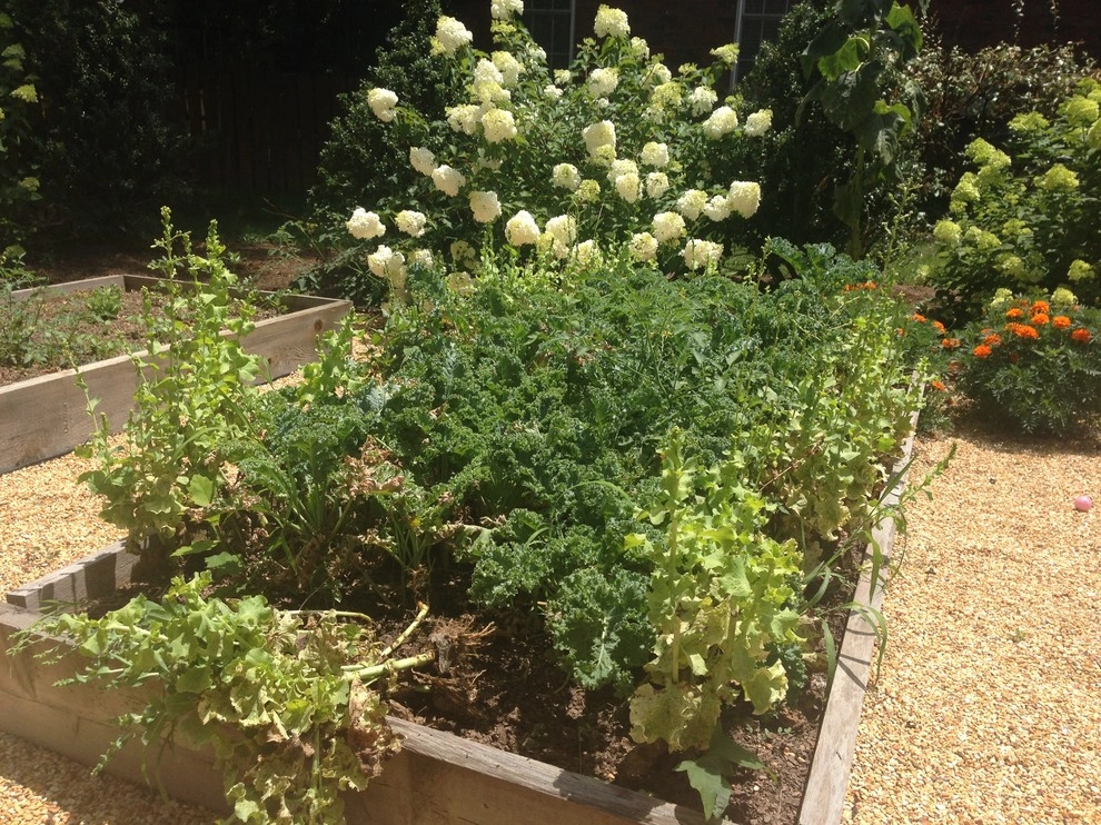 Edible Landscaping by My Landscape Guide - Photo 7