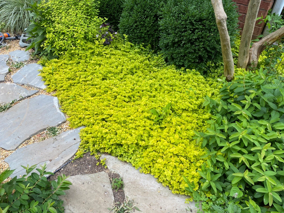 My Home! by My Landscape Guide - Photo 3