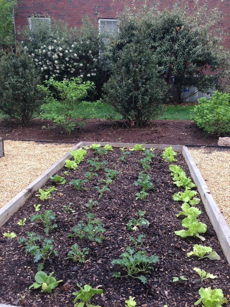 Edible Landscaping by My Landscape Guide - Photo 3