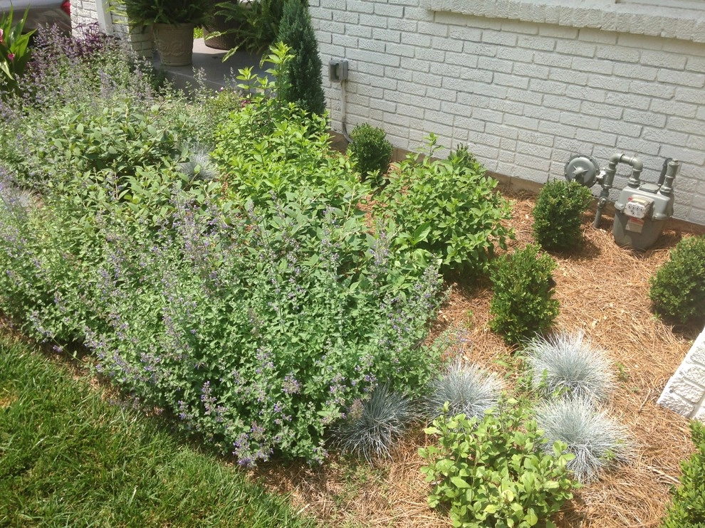 Nashville Cherokee Park / Sylvan Park by My Landscape Guide - Photo 10