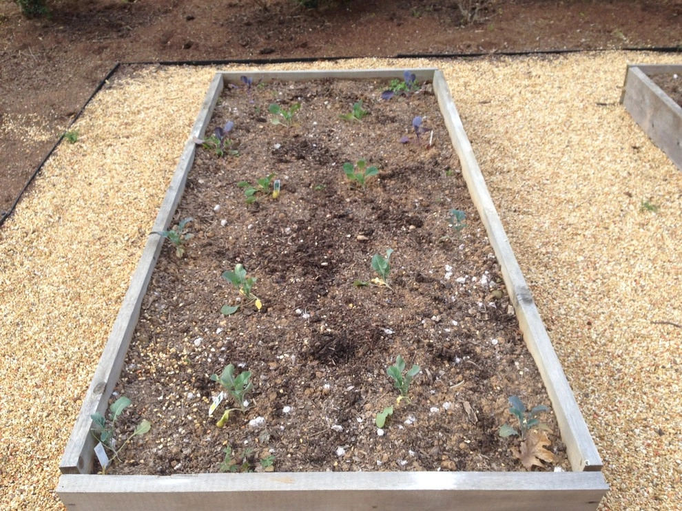 Edible Landscaping by My Landscape Guide - Photo 5