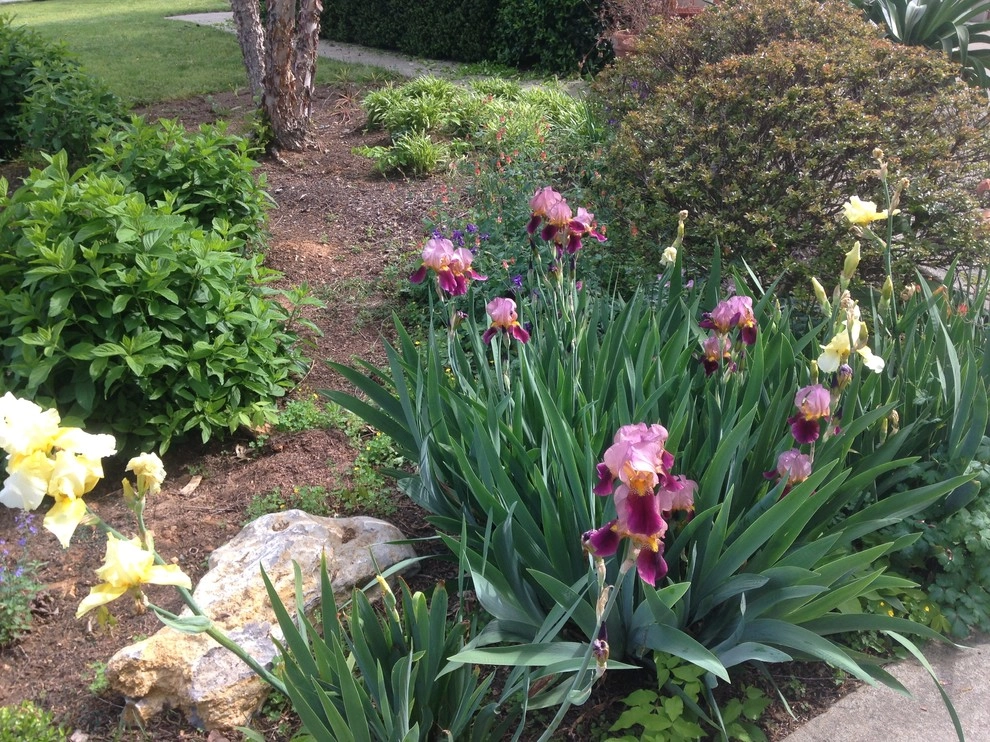 Edible Landscaping by My Landscape Guide - Photo 12