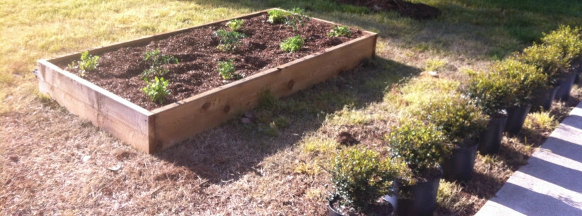 Edible Landscaping by My Landscape Guide - Photo 6