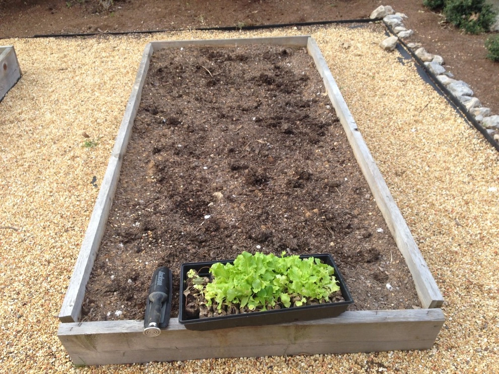 Edible Landscaping by My Landscape Guide - Photo 9
