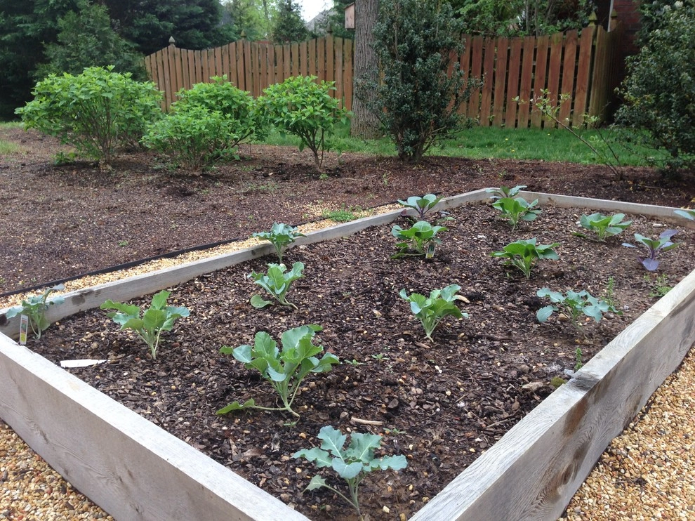 Edible Landscaping by My Landscape Guide - Photo 8