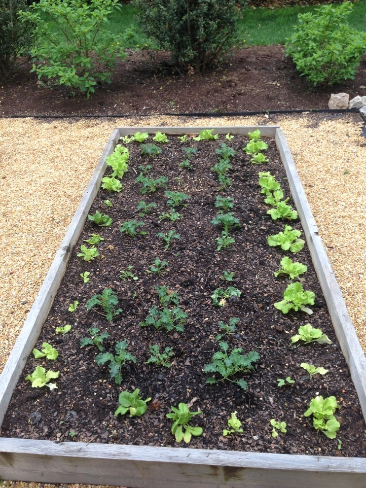 Edible Landscaping by My Landscape Guide - Photo 2