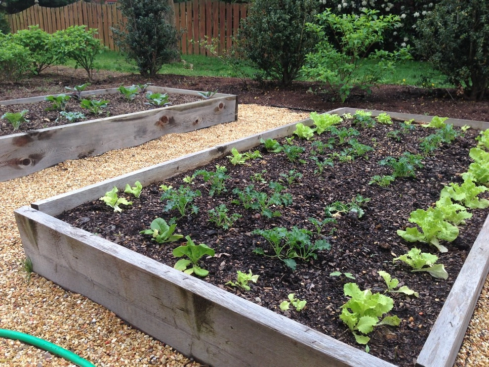 Edible Landscaping by My Landscape Guide - Photo 13
