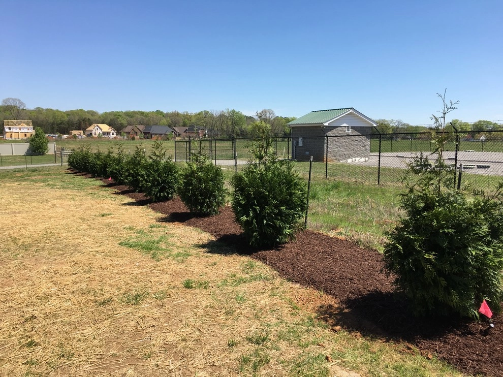 2016 Landscaping Projects by My Landscape Guide - Photo 4