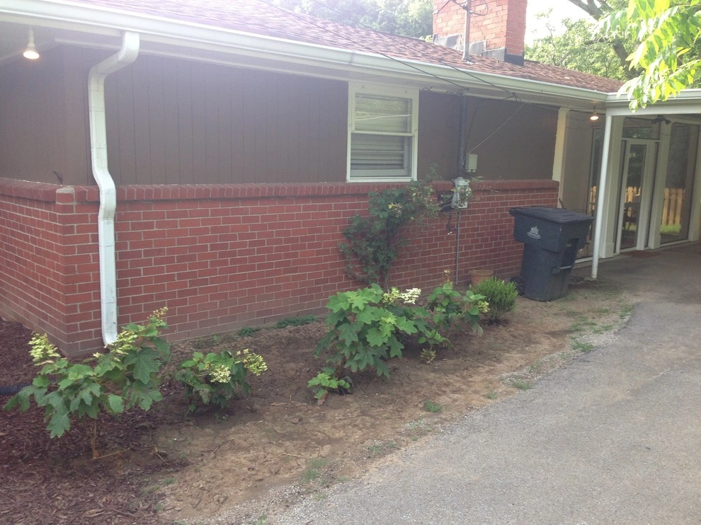 Shady Nashville Front Yard by My Landscape Guide - Photo 6